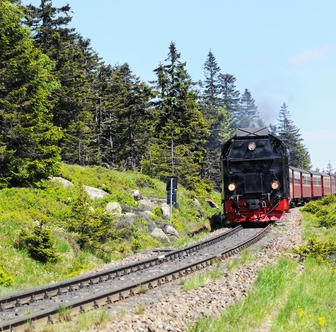 Hotel Median *** Im Harz hoch hinaus mit Brocken-Tour, Ritterabend all-inclusive und Hexenspuk